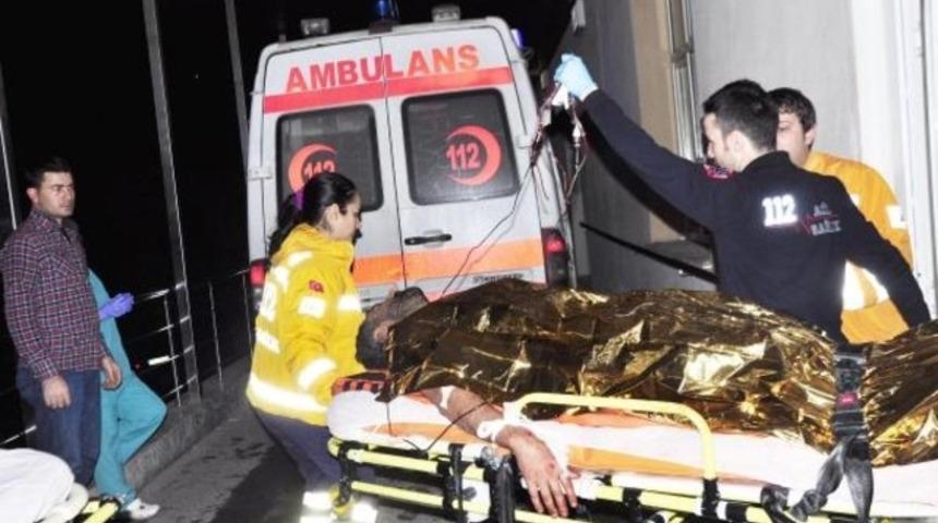 Karnından yaralı halde yol kenarında bulundu