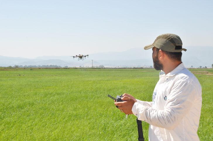 Mersin'de çeltik tarlası yabani otlara karşı dron ile ilaçlandı G2