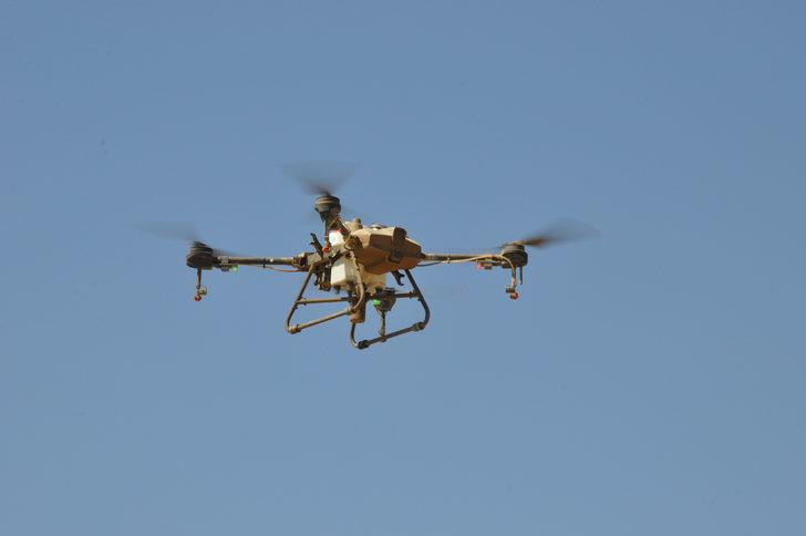 Mersin'de çeltik tarlası yabani otlara karşı dron ile ilaçlandı G3