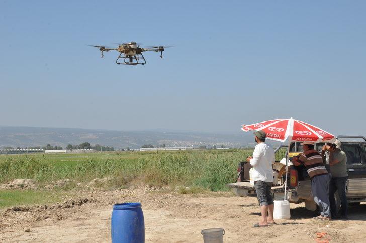 Mersin'de çeltik tarlası yabani otlara karşı dron ile ilaçlandı G4