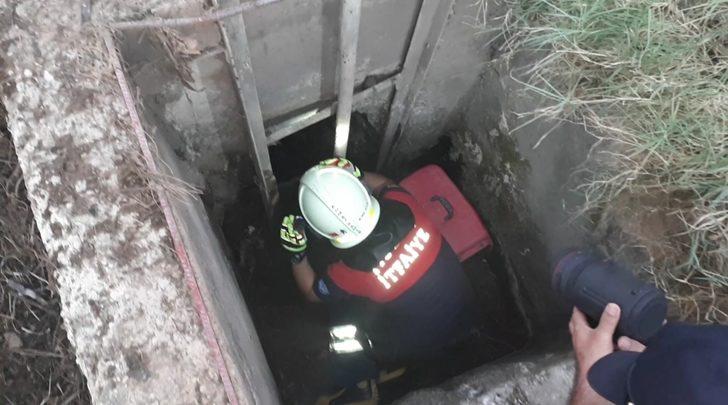 Muğla'da sulama kanalında bulunan köpekler ile kuyuya düşen kediler kurtarıldı G2