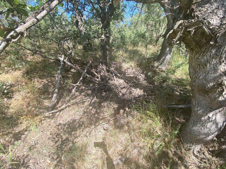 Şırnak ve Siirt'te, "Eren Abluka-27 Şehit Jandarma Uzman Çavuş Ercan Özcan Operasyonu" başlatıldı G2