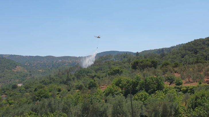 GÜNCELLEME - Balıkesir'de çıkan orman yangını kontrol altına alındı G3