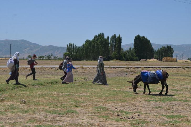 Muşlu berivanlar hayvanlarını sağmak için her gün kilometrelerce yol kat ediyor G1