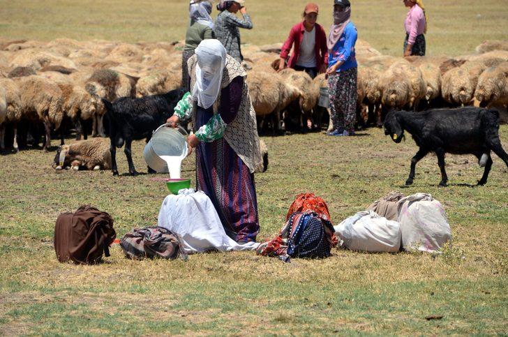 Muşlu berivanlar hayvanlarını sağmak için her gün kilometrelerce yol kat ediyor G2