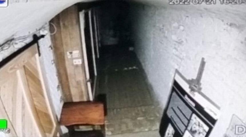 Müzenin ricası gündem oldu! Sürekli cinsel ilişkiye girenleri yakalayınca...