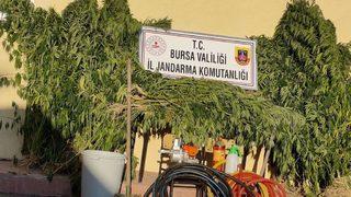 Bursa'da uyuşturucu operasyonunda 3 şüpheli yakalandı