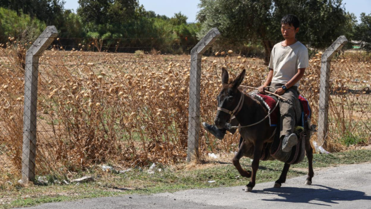 Böyle tur görülmedi! Japon turist Merzifon'dan aldığı eşekle adım adım Türkiye'yi gezdi G1