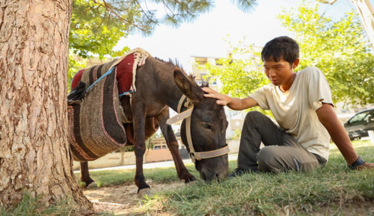Böyle tur görülmedi! Japon turist Merzifon'dan aldığı eşekle adım adım Türkiye'yi gezdi G4