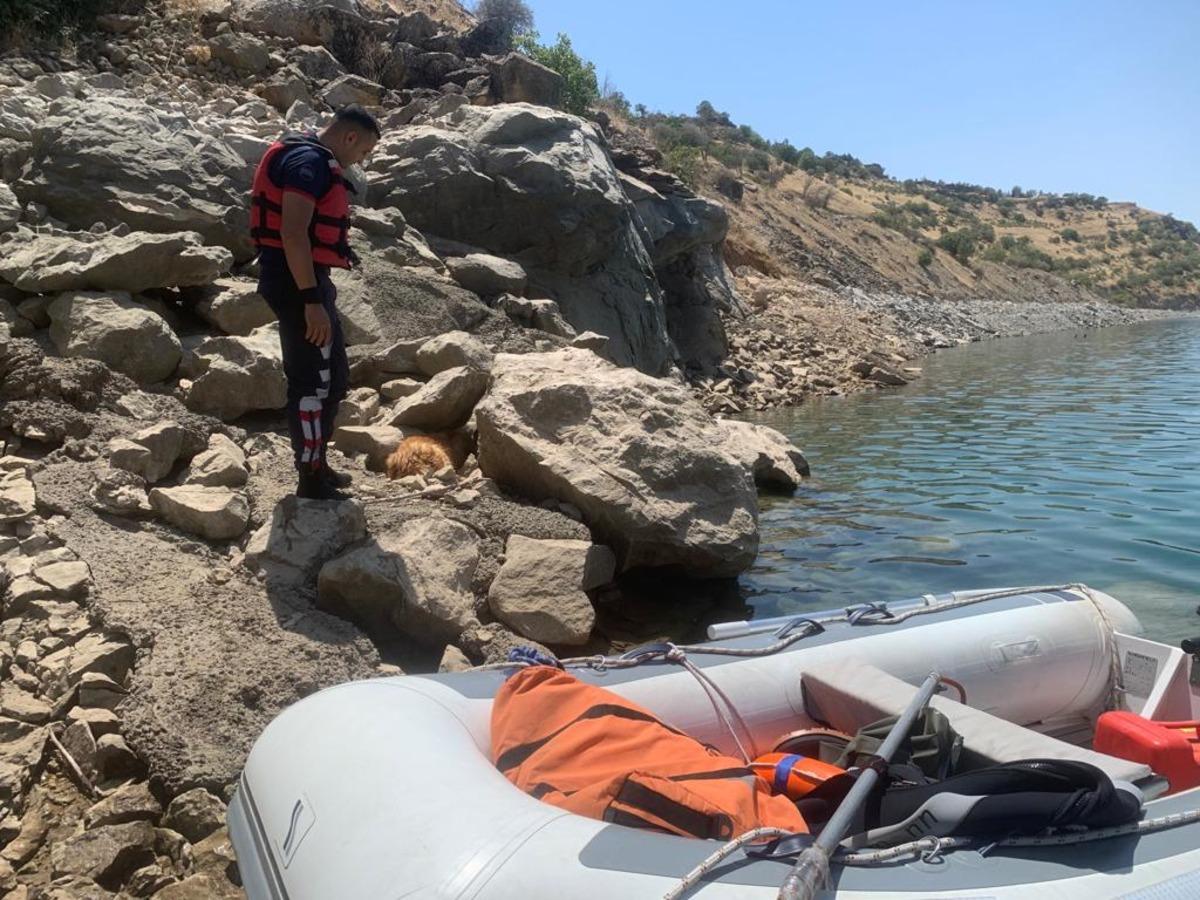 Kayalıklardan d&uuml;şerek yaralanan k&ouml;pek, itfaiye ekiplerince kurtarıldı