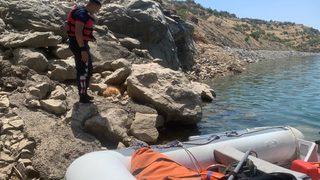 Kayalıklardan düşerek yaralanan köpek, itfaiye ekiplerince kurtarıldı