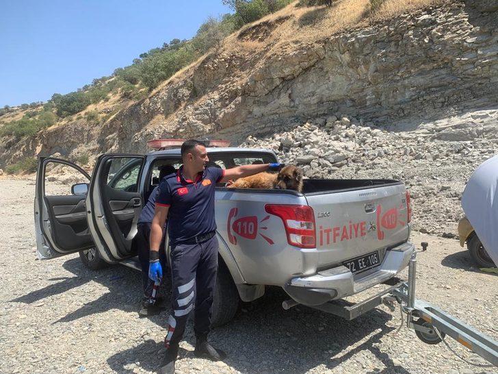Kayalıklardan düşerek yaralanan köpek, itfaiye ekiplerince kurtarıldı G2