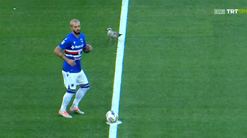 Son dakika: Beşiktaş - Sampdoria maçı başlayamadı! Davetsiz misafir, başlama düdüğünü aksattı...