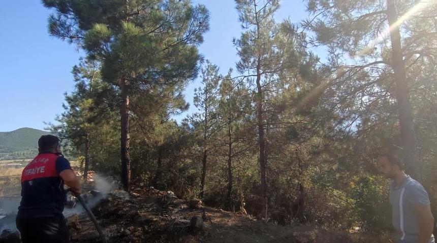 Tokat'ta çıkan orman yangını söndürüldü