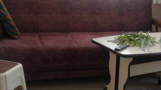 Karabük'te eve giren tilki cep telefonuyla görüntülendi