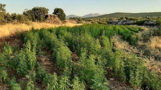 İçişleri Bakanlığı duyurdu! Diyarbakır'da 'Eren Abluka-28 Operasyonu' başlatıldı