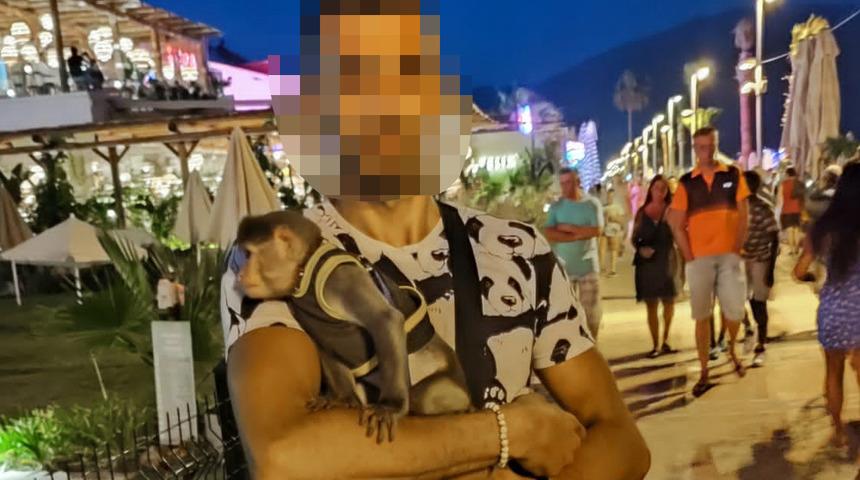 Marmaris'te yasa dışı getirilen parmak maymun korumaya alındı