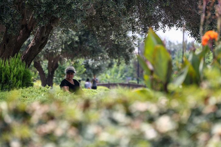 Doğu Akdeniz'de sıcak hava etkili oluyor G1