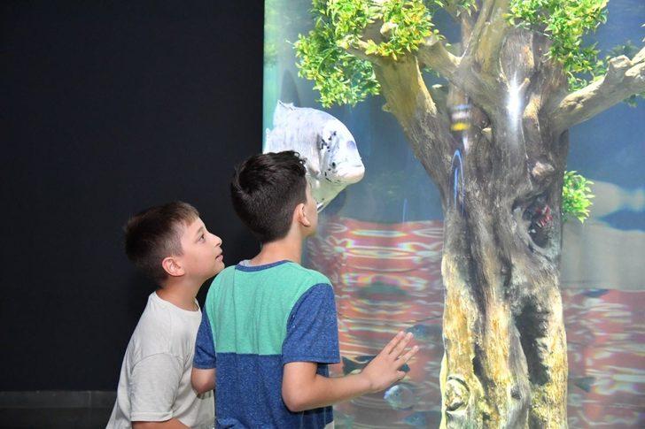 "Trabzon Akvaryum"u yaklaşık 2,5 ayda 111 bin 43 kişi ziyaret etti G2