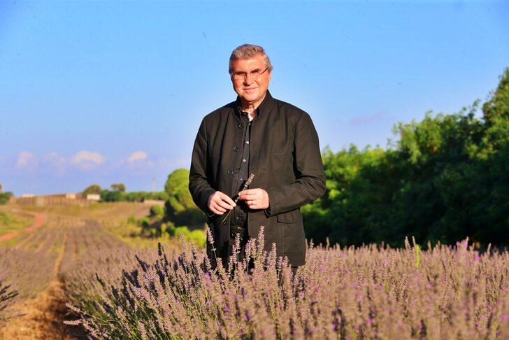 Tıbbi ve aromatik bitkilerin yetiştirildiği Sakarya Botanik Vadisi'nde hasat mesaisi G4