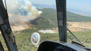 İzmir'de seraların bulunduğu bölgede çıkan yangın ormana sıçradı