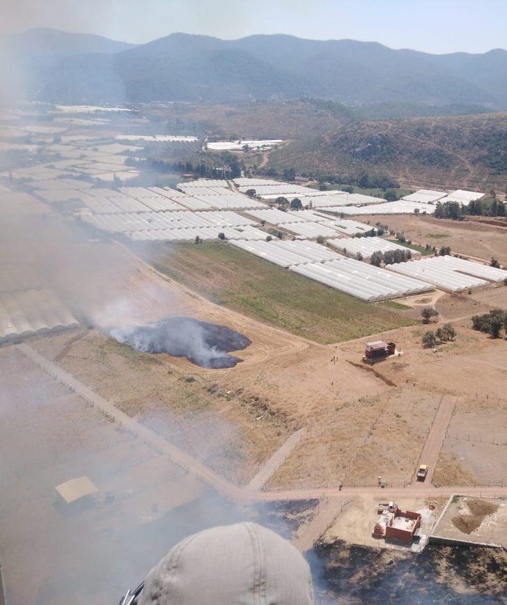 İzmir'de seraların bulunduğu bölgede çıkan yangın ormana sıçradı G3