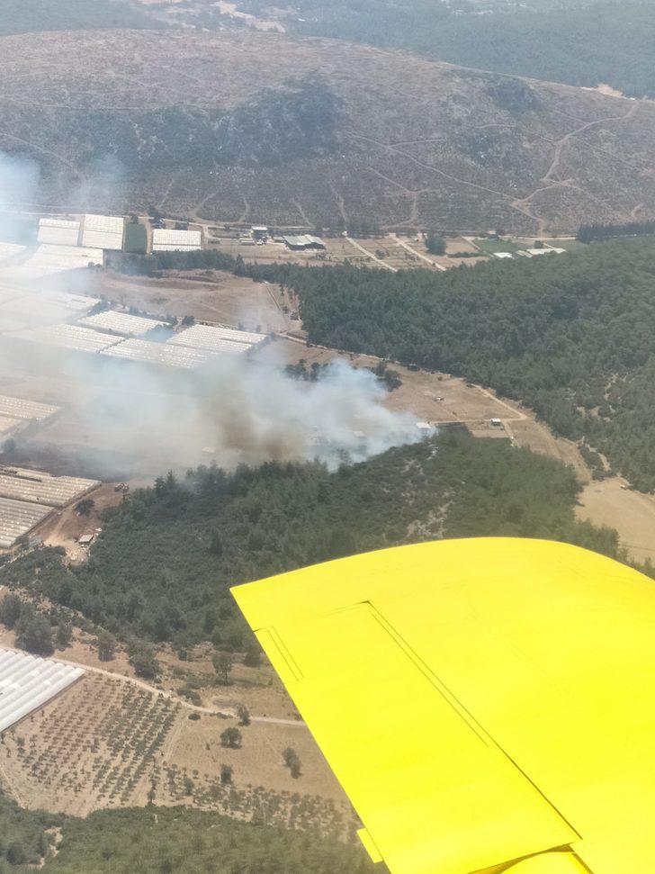İzmir'de seraların bulunduğu bölgede çıkan yangın ormana sıçradı G4