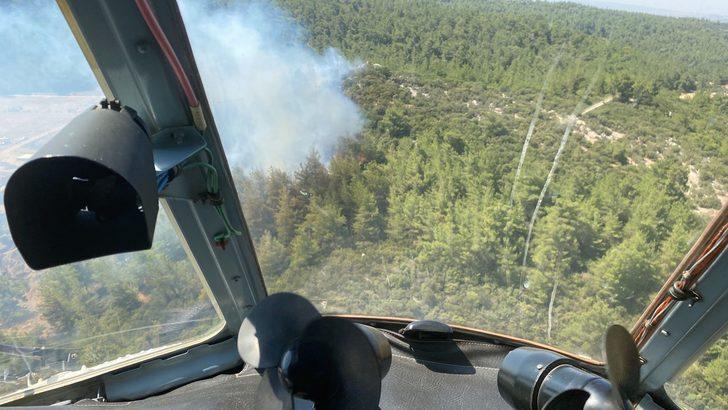 İzmir'de seraların bulunduğu bölgede çıkan yangın ormana sıçradı G5