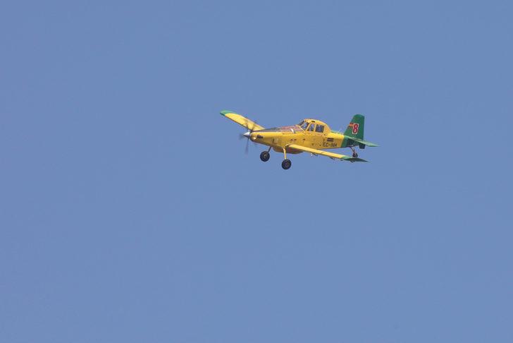 GÜNCELLEME - İzmir'de seraların bulunduğu bölgede çıkan yangın ormana sıçradı G1