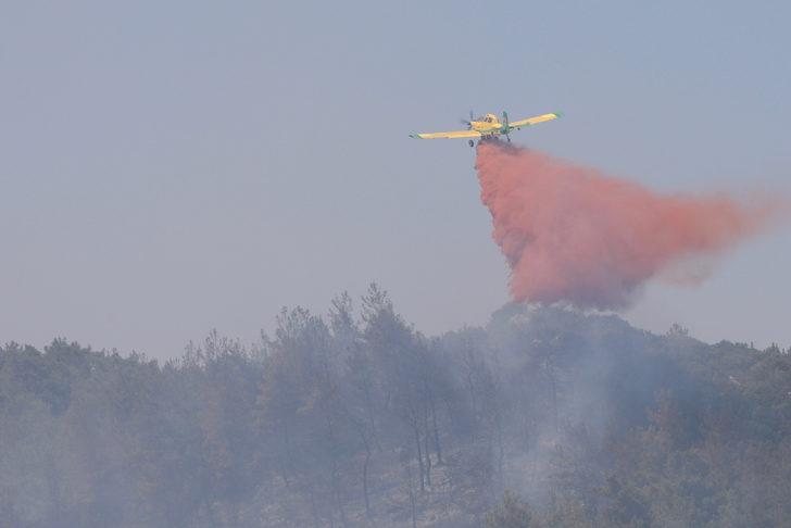 GÜNCELLEME - İzmir'de seraların bulunduğu bölgede çıkan yangın ormana sıçradı G2