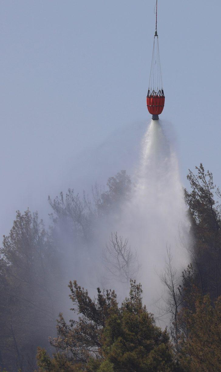 GÜNCELLEME - İzmir'de seraların bulunduğu bölgede çıkan yangın ormana sıçradı G3