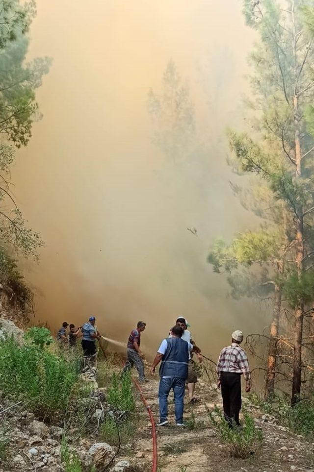 Burdur'da çıkan orman yangınına müdahale ediliyor