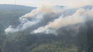 Burdur'da çıkan orman yangınına müdahale ediliyor