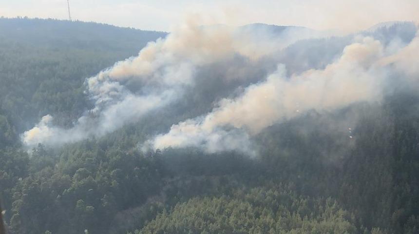 Burdur'da çıkan orman yangınına müdahale ediliyor