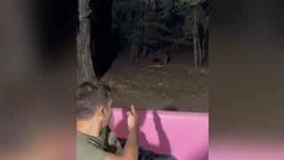 Bahçesine gelen ayıyla konuştu! İlginç anlar kamerada