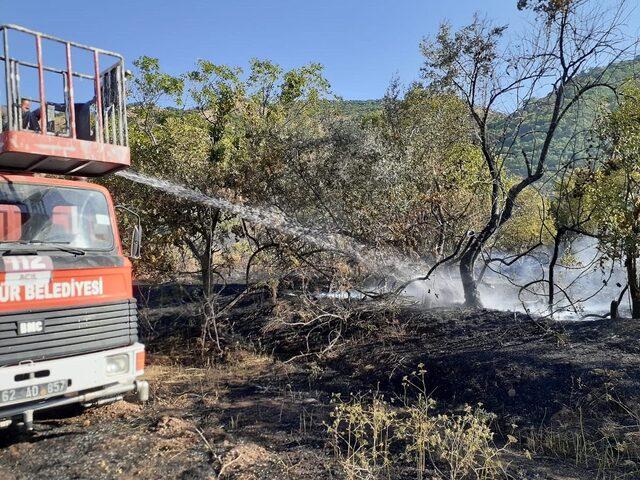 Tunceli'de iki köyde çıkan örtü yangınları söndürüldü
