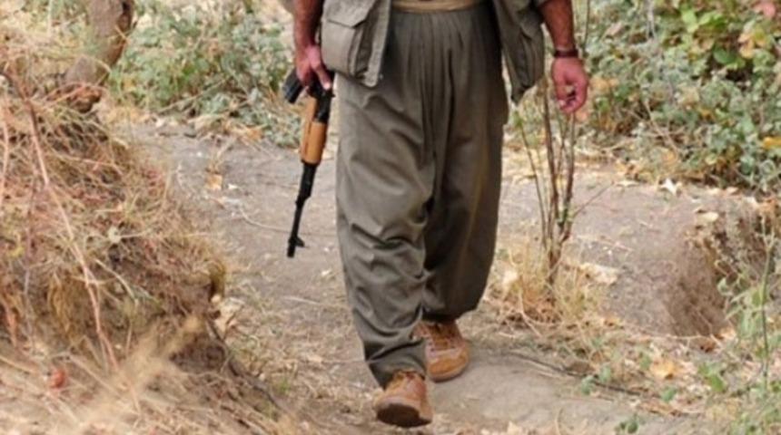 PKK'nın sözde bölge sorumlusu yakalandı