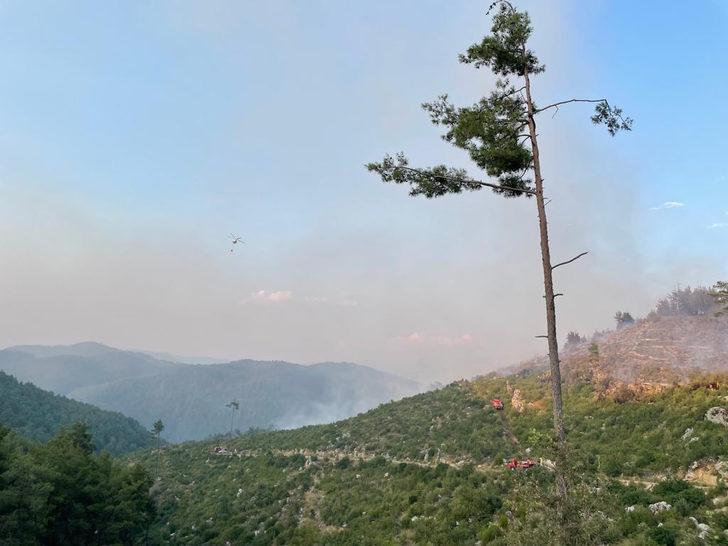 GÜNCELLEME - Burdur'da çıkan orman yangınına müdahale ediliyor G3