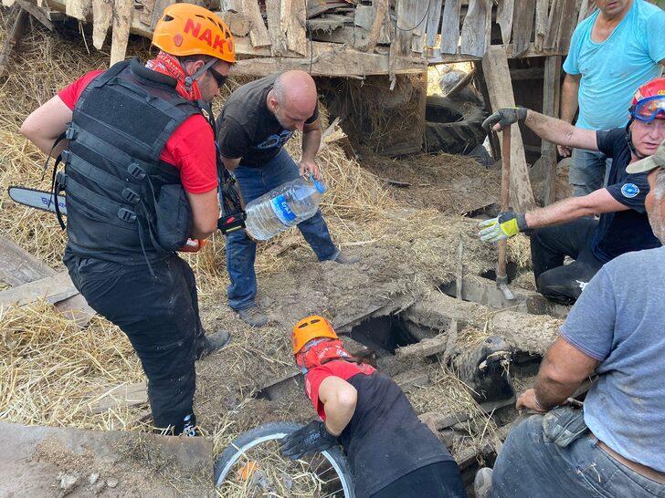 Bursa'da çöken ahırdaki 5 büyükbaş hayvan telef oldu G1