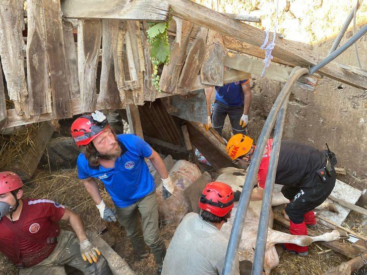 Bursa'da çöken ahırdaki 5 büyükbaş hayvan telef oldu G3