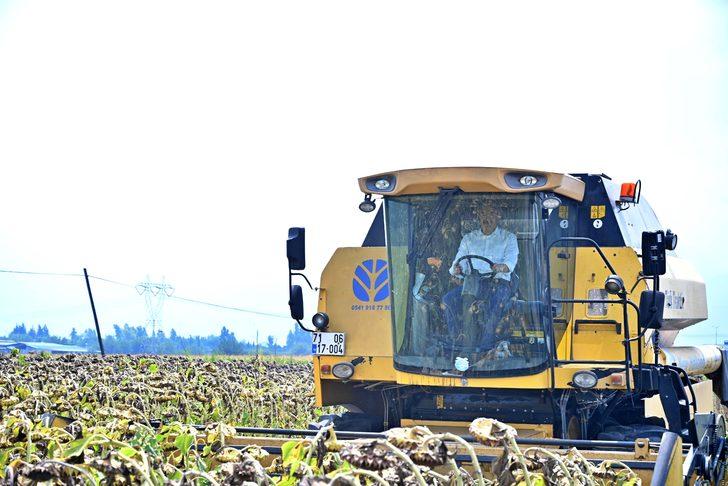 Osmaniye'de yağlık ayçiçeği hasadı başladı G4