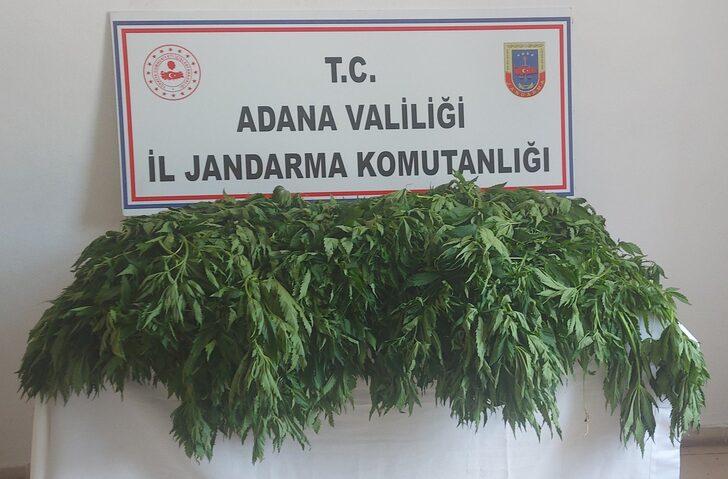 Adana'da uyuşturucu operasyonunda 2 zanlı yakalandı G2