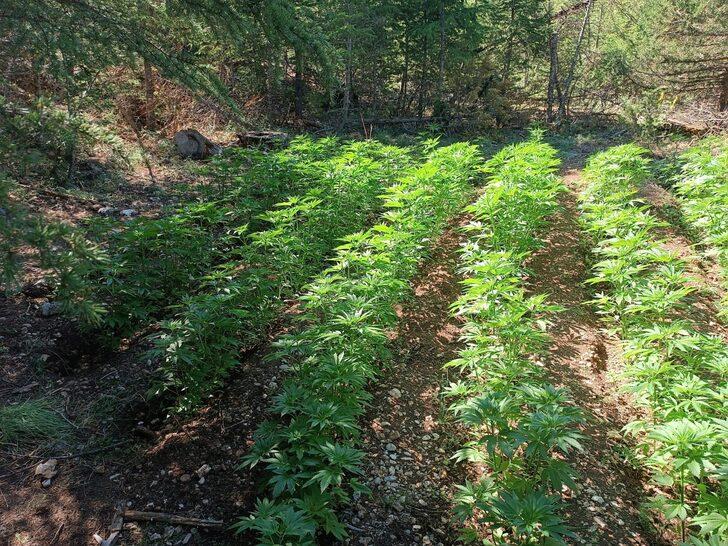 Adana'da uyuşturucu operasyonunda 2 zanlı yakalandı G3