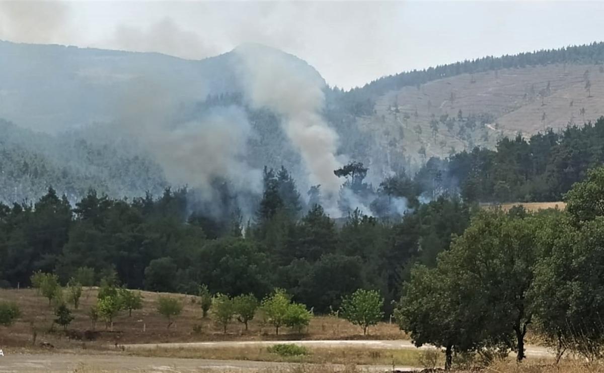 K&uuml;tahya'da kontrol altına alınan orman yangınında soğutma &ccedil;alışmaları s&uuml;r&uuml;yor