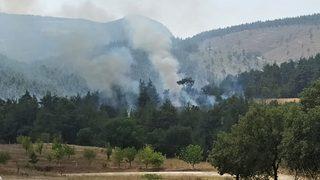 Kütahya'da kontrol altına alınan orman yangınında soğutma çalışmaları sürüyor