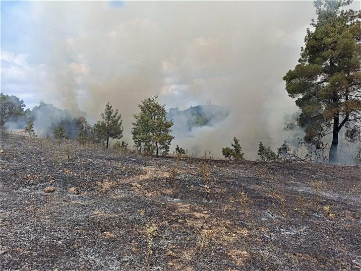 Kütahya'da kontrol altına alınan orman yangınında soğutma çalışmaları sürüyor G3