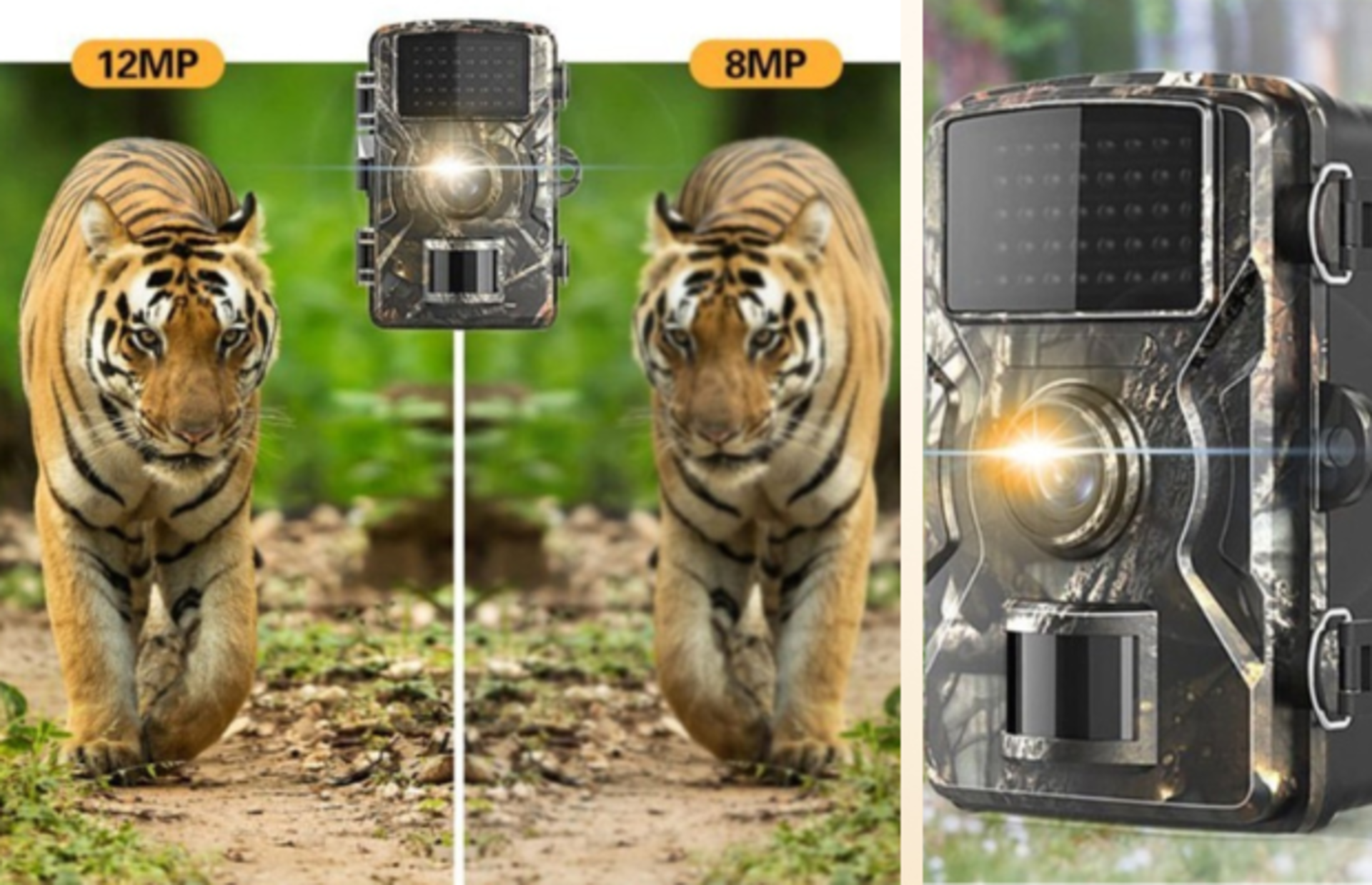 Vahşi doğada en güzel anları yakalamak isteyenler için fotokapan tavsiyeleri