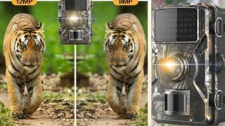 Vahşi doğada en güzel anları yakalamak isteyenler için fotokapan tavsiyeleri