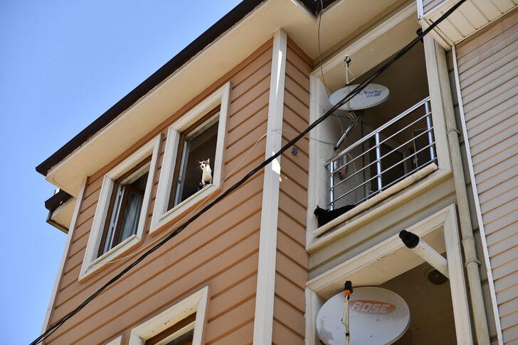 Bursa'da bir evden 2 kamyon çöp çıkarıldı G1