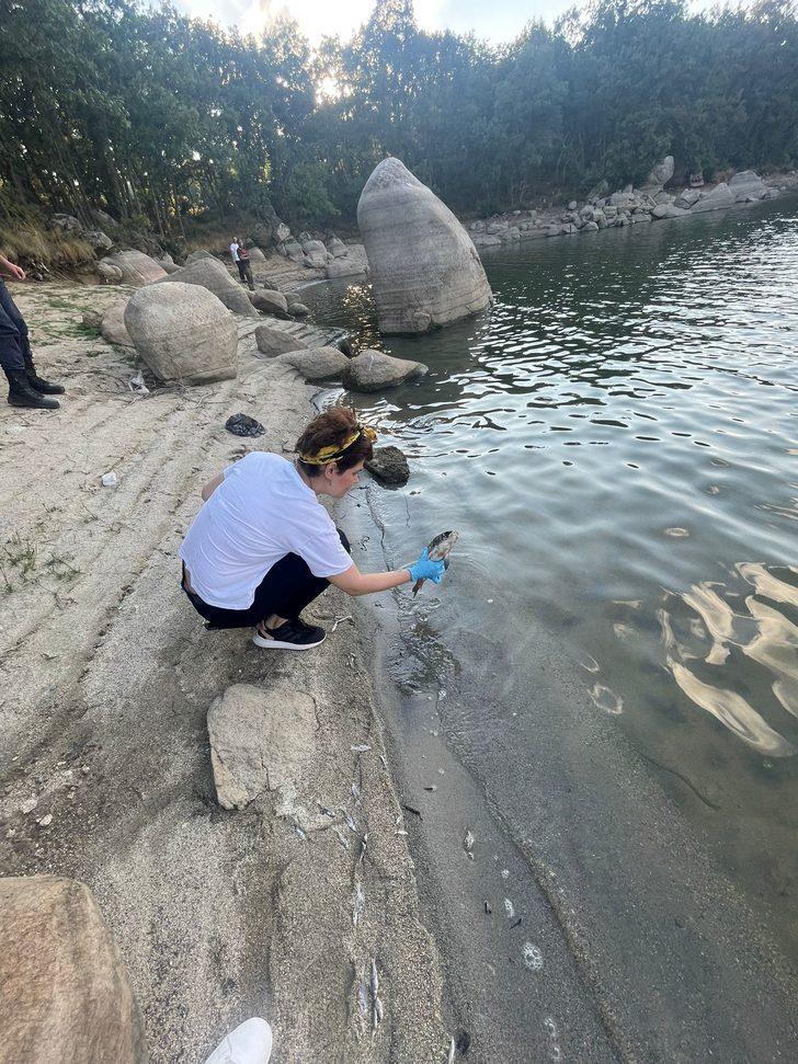 Bursa'da balık ölümlerine ilişkin inceleme başlatıldı G2